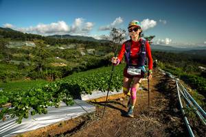 BIB: 
                            <button type="button" onclick="openModal(19124185)" class="btn btn-primary btn-sm float-right btn-popup" data-toggle="modal" data-target=".modal-high-quality">
                        <i class="fas fa-shopping-cart"></i> Add to Cart
                    </button>
                                            <button type="button" onclick="isThisMe(19124185, true)" class="btn btn-success btn-sm float-right btn-popup btn-isme hidden" data-toggle="tooltip" data-placement="bottom" title="นี่คือรูปของคุณใช่ไหม คลิกที่นี่เพื่อเอาเข้าอัลบั้ม">
                        <i class="fas fa-plus"></i> Add to album
                    </button>
                    <button type="button" onclick="isThisMe(19124185, false)" class="btn btn-warning btn-sm float-right btn-popup btn-isnotme hidden">
                        <i class="fas fa-ban"></i> Remove from album
                    </button>